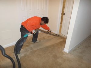 Water-Damage-Restoration-Expert-Cleaning-Carpet-After-Flooding