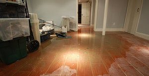 Water Damage Causing Mold Growth